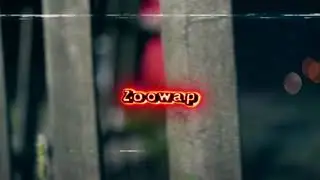 Zoowap - In My Face (Official Video)