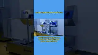 WONE's hygiene station #hygiene station #WONE #food factory #hand washing #personal hygiene