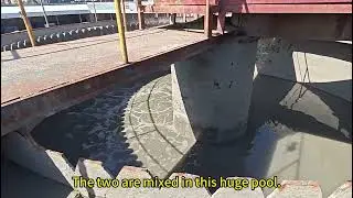 Paper mill wastewater treatment