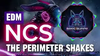 Epic Festival EDM - The perimeter shakes (No Copyright Music) by Bass Bunny