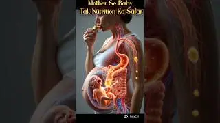 Pregnancy Nutrition Explained | Ginger Garlic Onion se Baby Growth | 3D Medical Animation#shorts