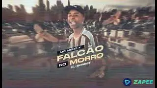 Falc&atilde;o no morro