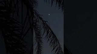 Dubai view&rsquo;s Beautiful moon 🌙 #music  follow & like four more videos . #song ￼