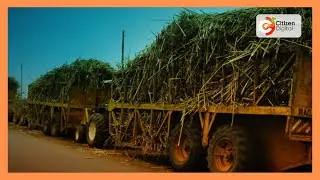 Kenya Sugar board assures job security for 80% of workers in leased mills amid union disputes