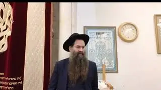 הרב עובדיה יוסף | פרשת השבוע | בא הכבדתי את לבו