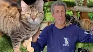 Sanctuary Founder Dies Trying to Save Cats From Fire