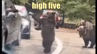 High Five on I-5