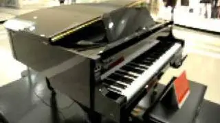 Self playing piano