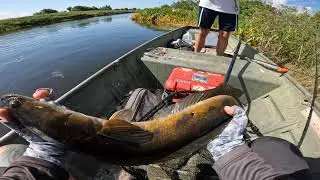Palm Beach County Snakehead Hunt!