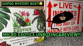 Загадочная коробка ISOPOD?! Распаковка и обзор Micro Exotics!!