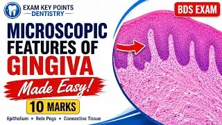 Microscopic features of gingiva| periodontology| bds 4th year notes|  exam key point dentistry 
