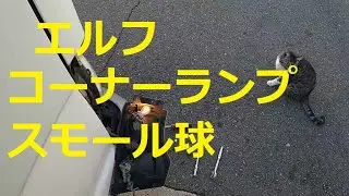 😄 　ＮＫＲ８１　エルフ　コーナーランプ　スモール球　交換　動画　NKR81　イスズ　いすゞ　ELF　ISUZU