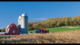 Webinar -- Domestic Abuse in Rural and Small-Town Settings