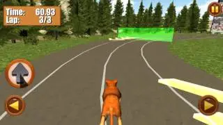 Wild Animal Racing Fever 3D HD Gameplay Android/IOS