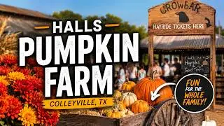 Texas Fall Fun: The Most Epic Pumpkin Farm Adventure