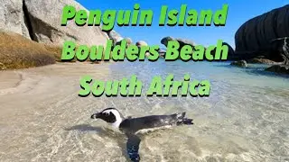 Penguin Island | Boulders Beach | Cape Point | South Africa | Private Beach Of Penguins | Cape Town