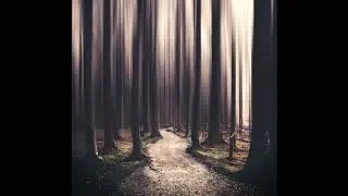 Ludovico Einaudi - The Path Of The Fossils (Day 6)