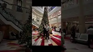 QM2, Barbados And St Lucia, Phone Pictures.