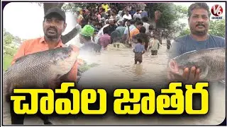 Public Busy In Catching Fish At Flood Water | Karimnagar | V6 News