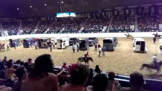 MN. State Fair Trailer Race Finals