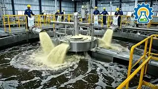 Hydrated Lime Uses in Water Treatment | ETP CETP | Industrial Chemicals