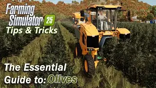 The Essential Guide to Olives in Farming Simulator 25