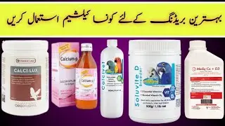 Best Calcium for birds | Calcium ki kami kese door kren | vitamin d3 supplement for birds