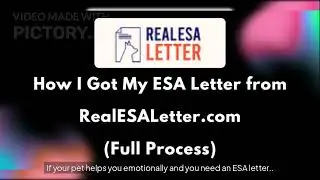 How I Got My ESA Letter from RealESALetter.com (Full Process)