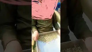Tasty Vegetable Good Morning 🌞🌄 #shortvideo #subscribe #food #pakistan#karachi
