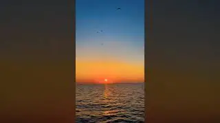 Очень важно фразу послушай до конца#MY Verse