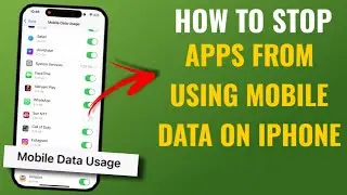 How to Stop Apps from Using Mobile Data on iPhone | English