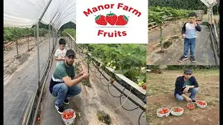 Strawberry Picking | Day Out 2022 | Manor Farm Fruits |Tamworth | Birmingham.