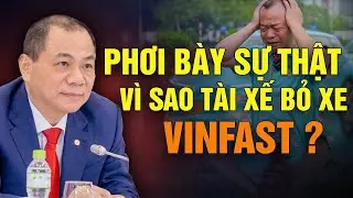 Vì Sao Tài Xế Đồng Loạt Bỏ Xe VinFast Sự Thật Phơi Bày! Vựa Tin