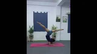 Split in elbow stand