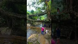 Double Decker Living Root Bridge 💚✨Nongriat | Meghalaya#shortsfeed #travel #cherrapunji #explore