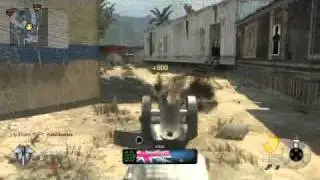 lilani95 - Black Ops Game Clip