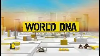 World DNA LIVE: World Latest English News | International News | WION LIVE