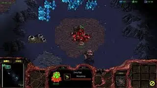 Brood War 2021 CPL s6 Tier 1 diggurd vs garthis g2