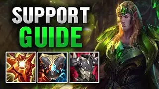 SEASON 11 TARIC SUPPORT GUIDE