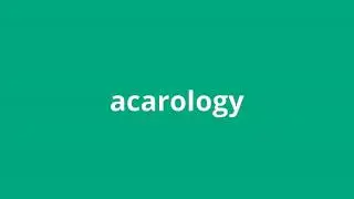 what is the meaning of acarology.