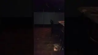 Der Georgi - Die Erde Bebt schon wieder