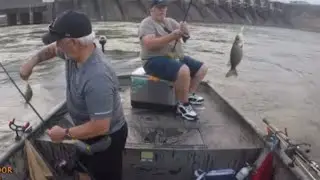 FISHING for WHITE BASS & SMALLMOUTH BASS on the TENNESSEE RIVER