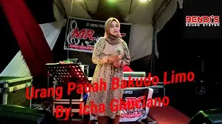 Urang Pauah Bakudo Limo(Cover) - RONY CHANIAGO || Icha Ghuciano - Live Orgen Tunggal - Remix Minang