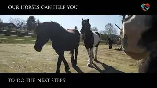 Horses 2020
