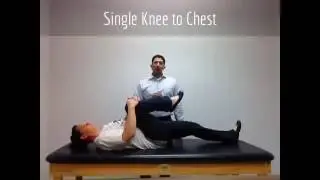 Lower Back Exercises for Arthritis, Spinal Stenosis, DDD, and Muscle Strains