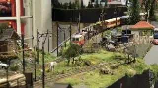 Smalspor 2010 - del1