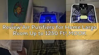Review Air Purifiers for Home Large Room Up to 1250 Ft&sup2;,MOOKA H13 HEPA Air Purifier for Pets Dust Od