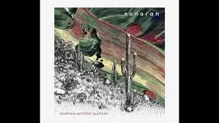 Shade For Shelter - Andrew Schiller Quintet
