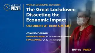The Great Lockdown: Dissecting the Economic Effects