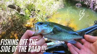 Fishing Off The Side Of The Road